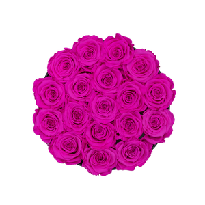 Hot Pink Preserved Roses | Small Round Black Huggy Rose Box