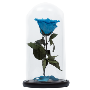 Blue with Crystal Dust Heart Shape Preserved Rose | Beauty and The Beast Glass Dome