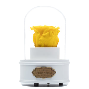 YELLOW PRESERVED ROSE｜THE ONLY REGULAR WHITE MUSIC GLOBE