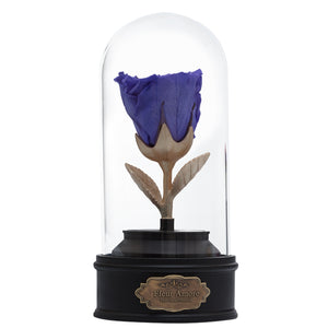 PURPLE PRESERVED ROSE | BEAUTY AND THE BEAST MUSIC GLOBE