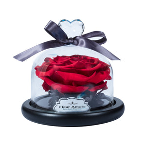 Red Preserved Rose | Glass Dome with Heart Handle