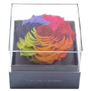 Rainbow Mega Preserved Rose | Crystalline Rose Box