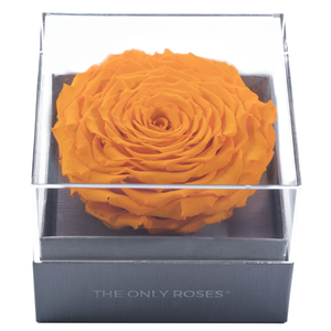 Yellow Mega Preserved Rose | Crystalline Rose Box