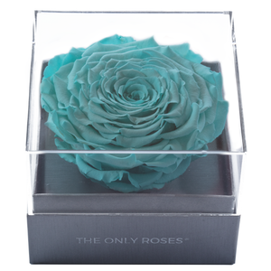 Bright Blue Mega Preserved Rose | Crystalline Rose Box