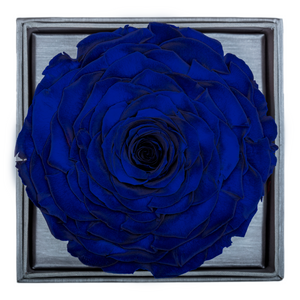 Royal Blue Mega Preserved Rose | Crystalline Rose Box