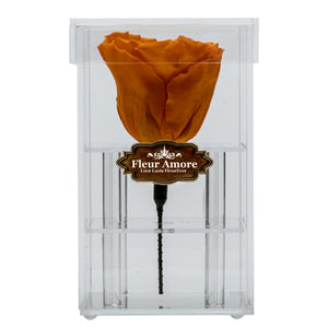 YELLOW PRESERVED ROSE | PETITE ACRYLIC ROSE BOX