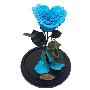 Blue with Crystal Dust Heart Shape Preserved Rose | Beauty and The Beast Glass Dome