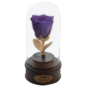 PURPLE PRESERVED ROSE | BEAUTY AND THE BEAST MUSIC GLOBE