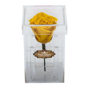 LIGHT YELLOW PRESERVED ROSE | PETITE ACRYLIC ROSE BOX