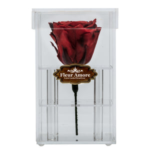 DARK RED PRESERVED ROSE | PETITE ACRYLIC ROSE BOX