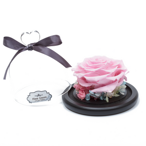 Pink Preserved Rose | Glass Dome with Heart Handle