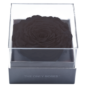 Black Mega Preserved Rose | Crystalline Rose Box
