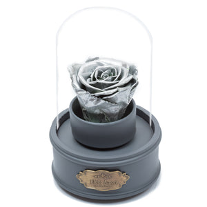 SILVER PRESERVED ROSE｜THE ONLY REGULAR GREY MUSIC GLOBE