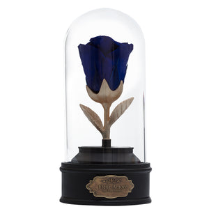 ROYAL BLUE PRESERVED ROSE | BEAUTY AND THE BEAST MUSIC GLOBE
