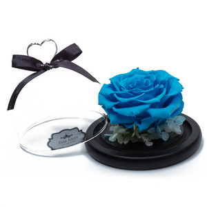 Blue Preserved Rose | Glass Dome with Heart Handle
