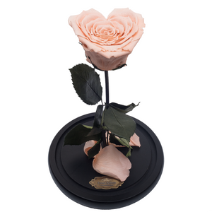 Peach with Crystal Dust Heart Shape Preserved Rose | Beauty and The Beast Glass Dome