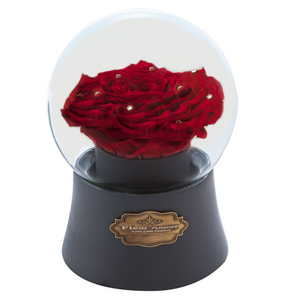 Red Preserved Rose｜The Only Large Grey Music Globe