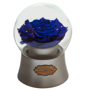 Royal Blue Preserved Rose｜The Only Large Silver Music Globe