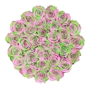 Green & Pink Mix Preserved Roses | Small Round White Huggy Rose Box