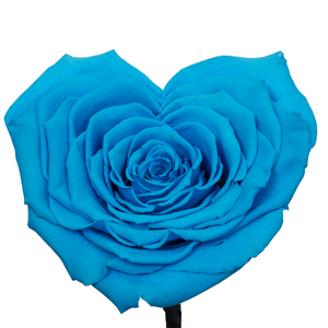 Blue Heart Shape Preserved Rose | Beauty and The Beast Glass Dome