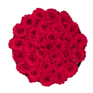 Red Preserved Roses | Medium Round Black Huggy Rose Box