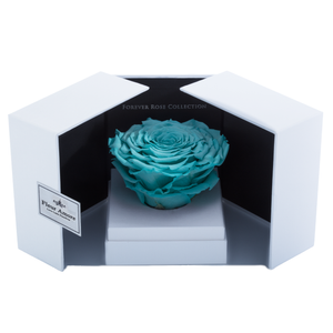 Blue Mega Preserved Rose | Swing Opening Box
