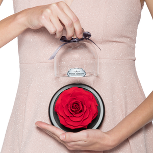 Red Preserved Rose | Glass Dome with Heart Handle