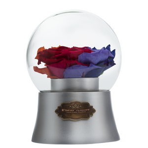 Rainbow Preserved Rose｜The Only Large Silver Music Globe