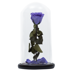Purple Preserved Rose | Beauty and The Beast Glass Dome