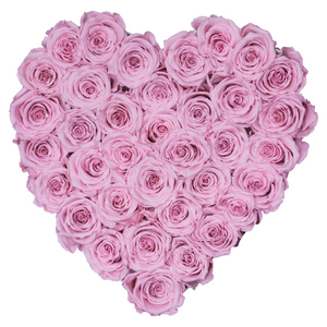 Light Pink Preserved Roses | Heart White Huggy Rose Box