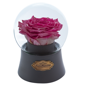 Pink Preserved Rose｜The Only Large Grey Music Globe