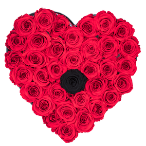 Red with One Black Preserved Roses | Heart Black Huggy Rose Box