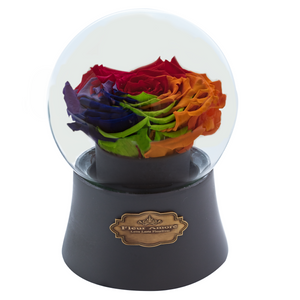 Rainbow Preserved Rose｜The Only Large Grey Music Globe