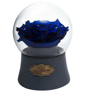 Royal Blue Preserved Rose｜The Only Large Grey Music Globe