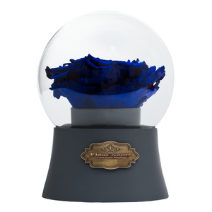 Royal Blue Preserved Rose｜The Only Large Grey Music Globe
