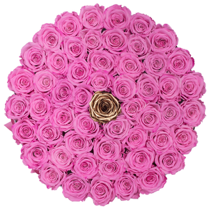Pink & Gold Preserved Roses | Large Round White Huggy Rose Box
