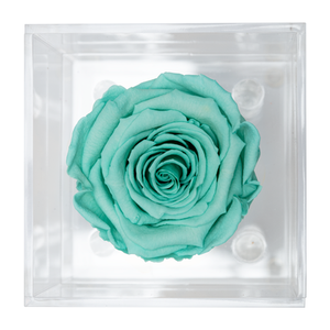 TIFFANY BLUE PRESERVED ROSE | PETITE ACRYLIC ROSE BOX