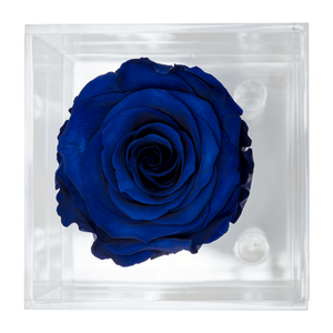 ROYAL BLUE PRESERVED ROSE | PETITE ACRYLIC ROSE BOX