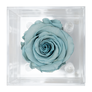 LIGHT BLUE PRESERVED ROSE | PETITE ACRYLIC ROSE BOX