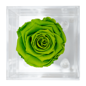 GREEN PRESERVED ROSE | PETITE ACRYLIC ROSE BOX