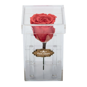 FIRE RED PRESERVED ROSE | PETITE ACRYLIC ROSE BOX