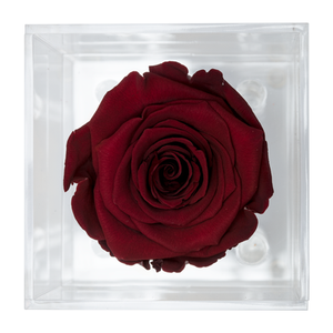 RED PRESERVED ROSE | PETITE ACRYLIC ROSE BOX