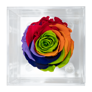 RAINBOW PRESERVED ROSE | PETITE ACRYLIC ROSE BOX