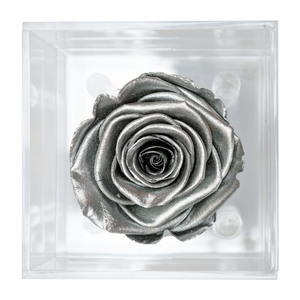 SILVER PRESERVED ROSE | PETITE ACRYLIC ROSE BOX