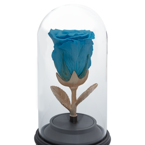 BLUE PRESERVED ROSE | BEAUTY AND THE BEAST MUSIC GLOBE