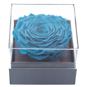 BLUE MEGA PRESERVED ROSE | CRYSTALLINE ROSE BOX