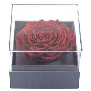 FIRE RED MEGA PRESERVED ROSE | CRYSTALLINE ROSE BOX