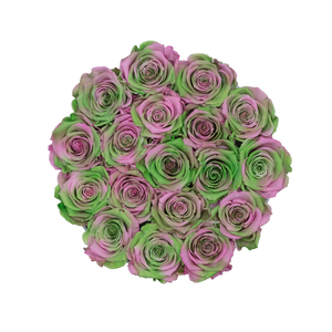 GREEN & PINK MIX PRESERVED ROSES | SMALL ROUND WHITE HUGGY ROSE BOX