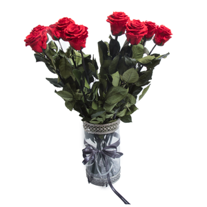 12 Long Stem Red Preserved Roses Luxury Bouquet In Glass Vase