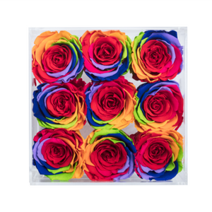 RAINBOW COLOR PRESERVED ROSES | SMALL ACRYLIC ROSE BOX